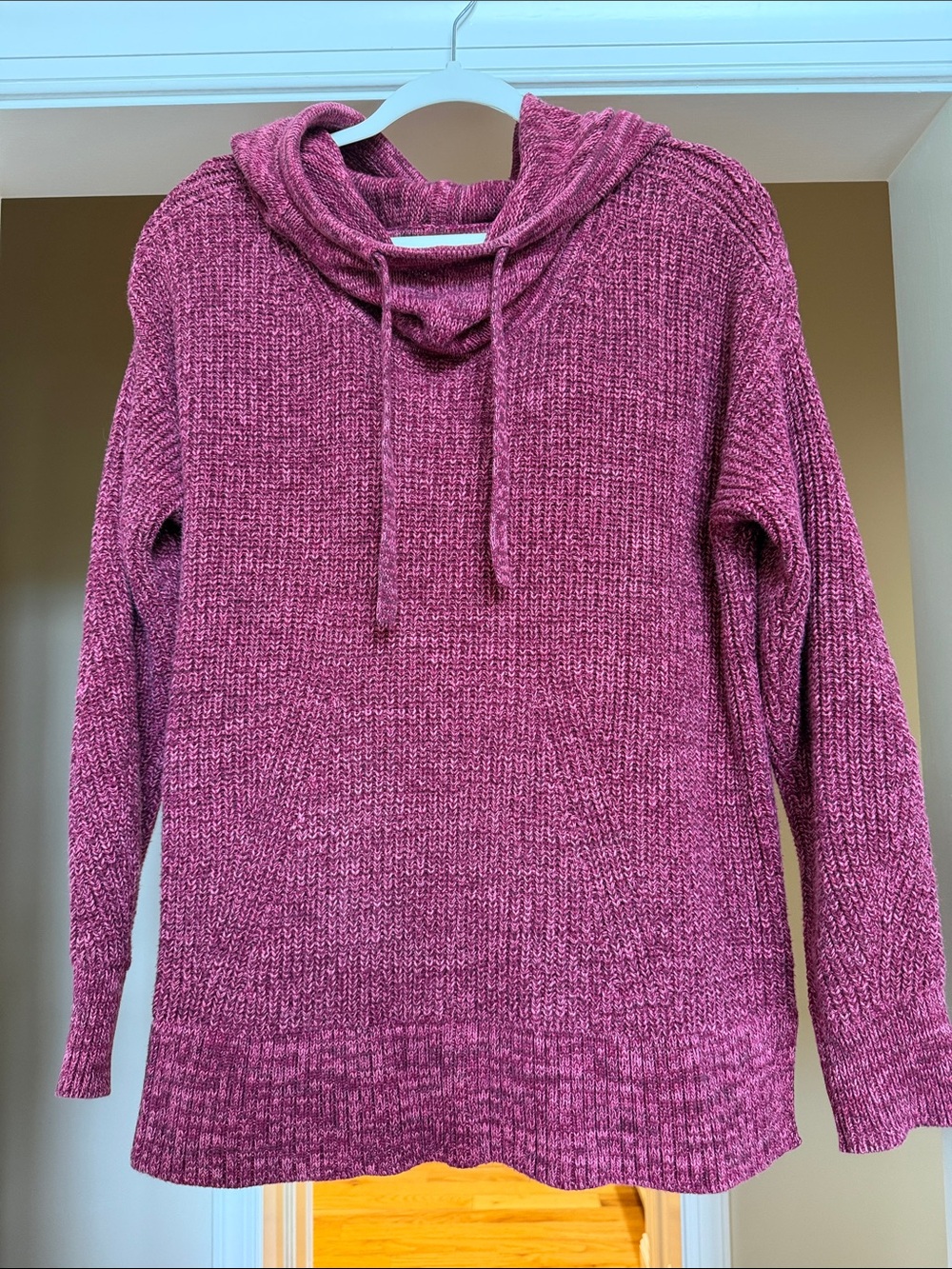 GAP Cozy Cotton Hoodie Sweater - Raspberry Pink